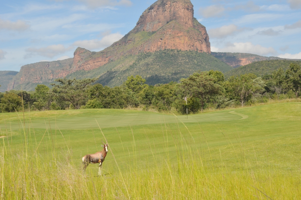 Au Legend, dans le Limpopo, de nombreux animaux sauvages seront vont compagnons de jeu