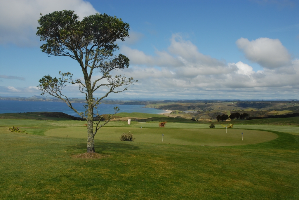 Depuis la terrasse du golf on a la vue sur ce putting green et cette baie avec ses plages de sable rose.