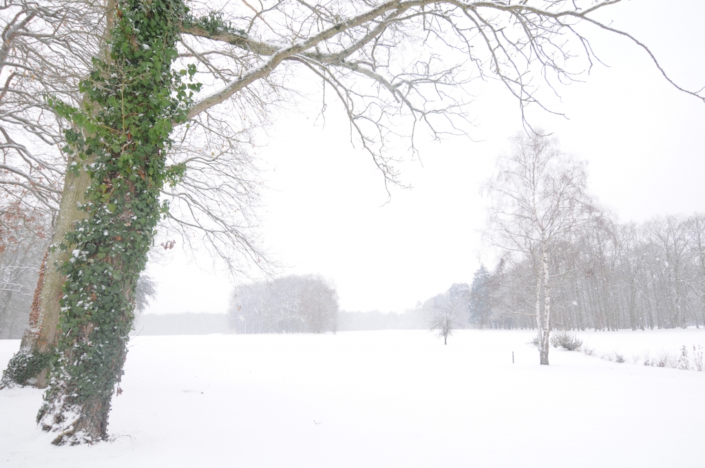 L'hiver 2010 a été particulièrement vigoureux en France ; le parcours d'Orléans Donnery n'y a pas échappé en cette belle journée de janvier.